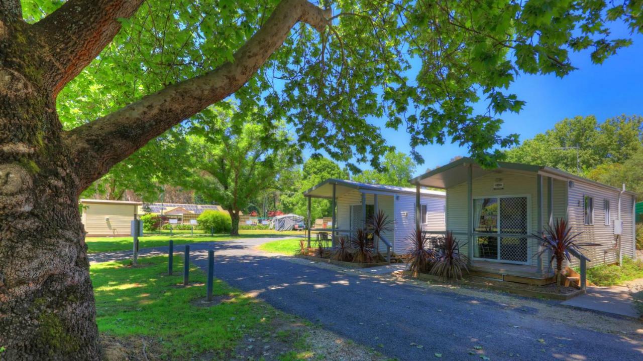 Myrtleford Holiday Park Exteriér fotografie